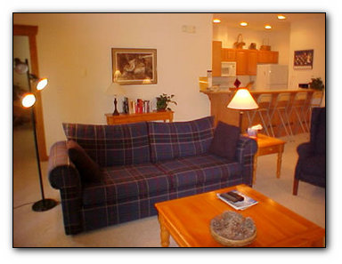 Photo of Raven's Roost  Condominium
