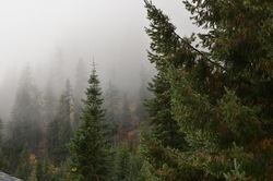 Photo of 4 Seasons Getaway