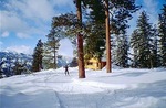 Photo of Rendezvous Huts