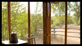 Photo of A Bend in the River Cabin
