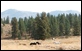 Photo of Eagle Pine Chalets