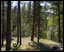 Photo of The Cabin at Fawn Glen