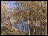 Photo of A Bend in the River Cabin