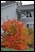 Photo of 4 Seasons Getaway