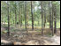 Photo of Fawn Creek Hideaway