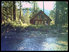 Photo of River House
